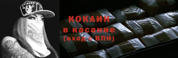 шишки Гусь-Хрустальный