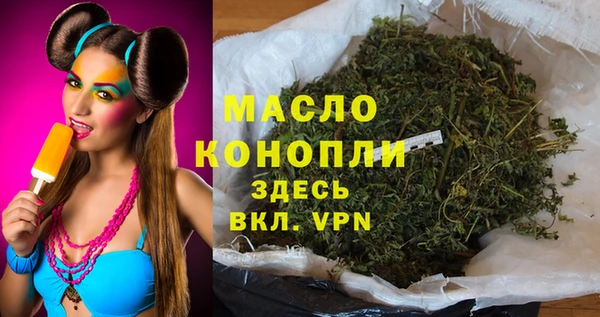 шишки Гусь-Хрустальный