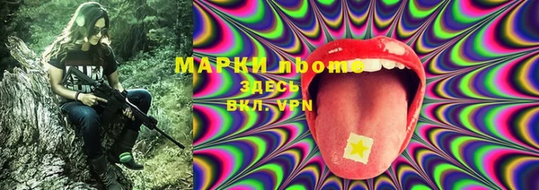 шишки Гусь-Хрустальный