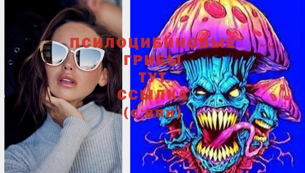шишки Гусь-Хрустальный