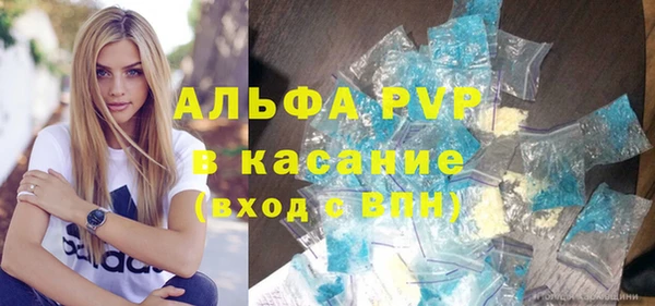шишки Гусь-Хрустальный