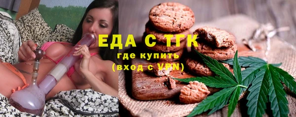 шишки Гусь-Хрустальный