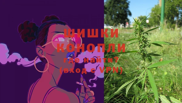 экстази Гусев