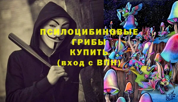 шишки Гусь-Хрустальный