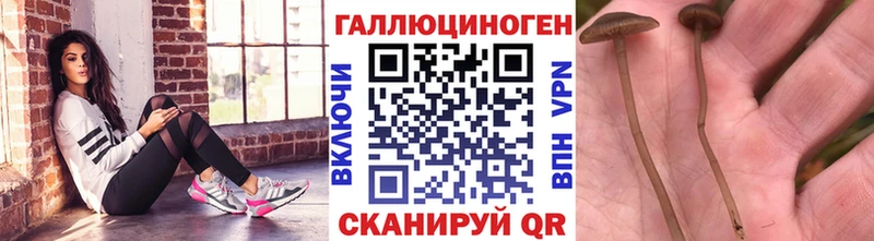 Псилоцибиновые грибы ЛСД  дарнет шоп  Новомосковск 