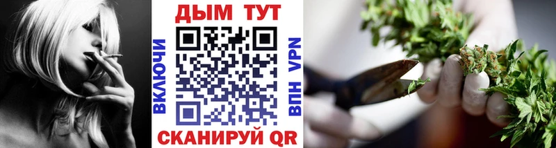 Бошки Шишки конопля Новомосковск